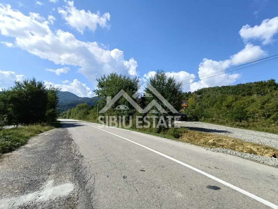 Teren  construibil ,la sosea, intre Vale si Sibiel, zona cu potential