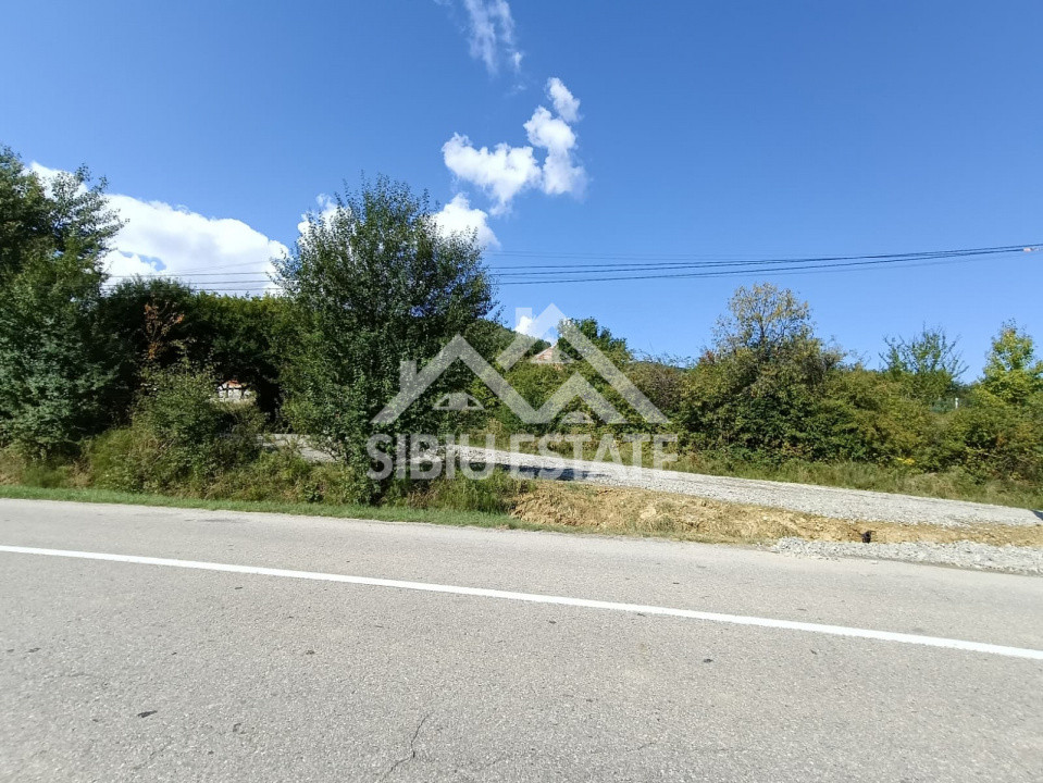 Teren  construibil ,la sosea, intre Vale si Sibiel, zona cu potential