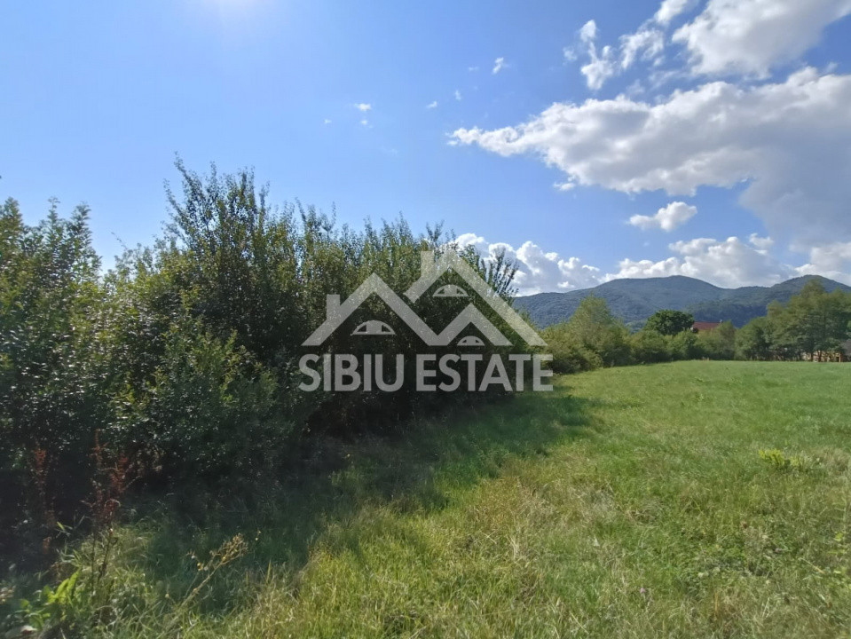 Teren  construibil ,la sosea, intre Vale si Sibiel, zona cu potential