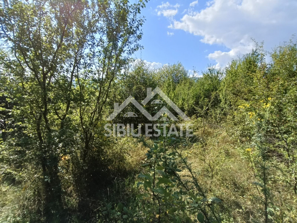 Teren  construibil ,la sosea, intre Vale si Sibiel, zona cu potential