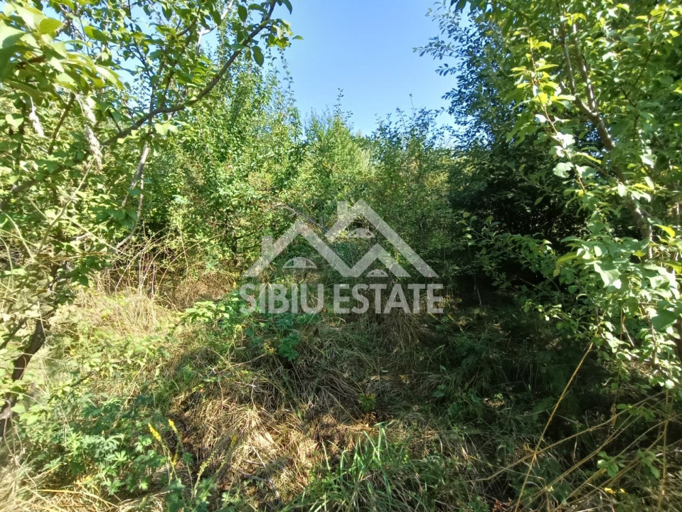Teren  construibil ,la sosea, intre Vale si Sibiel, zona cu potential