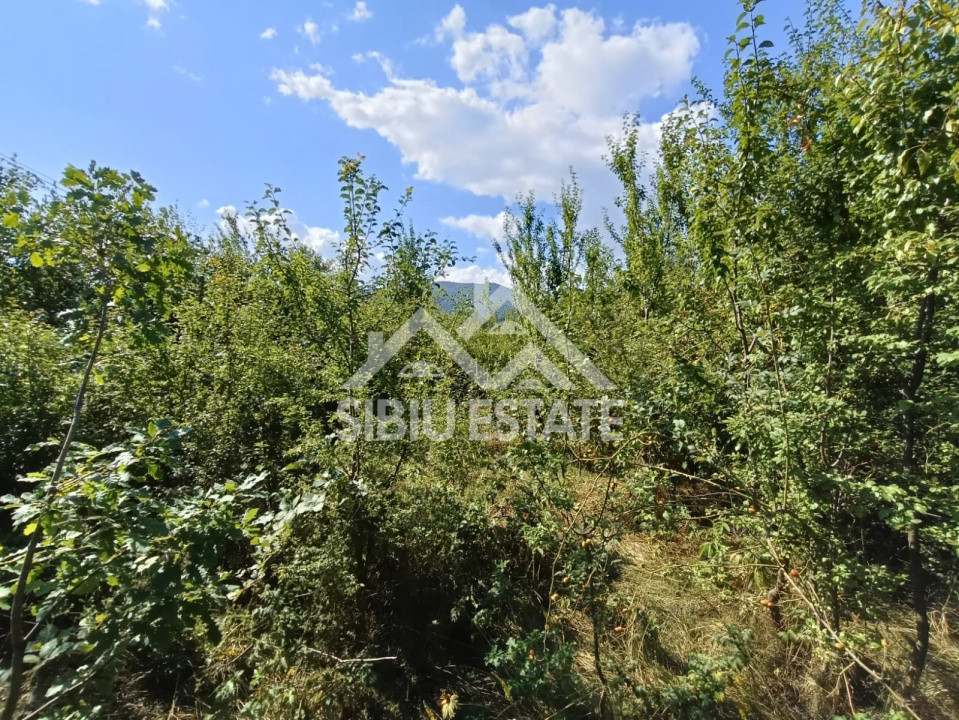 Teren  construibil ,la sosea, intre Vale si Sibiel, zona cu potential