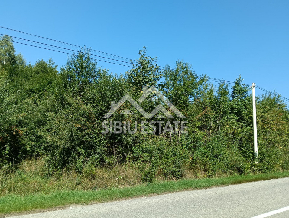 Teren  construibil ,la sosea, intre Vale si Sibiel, zona cu potential