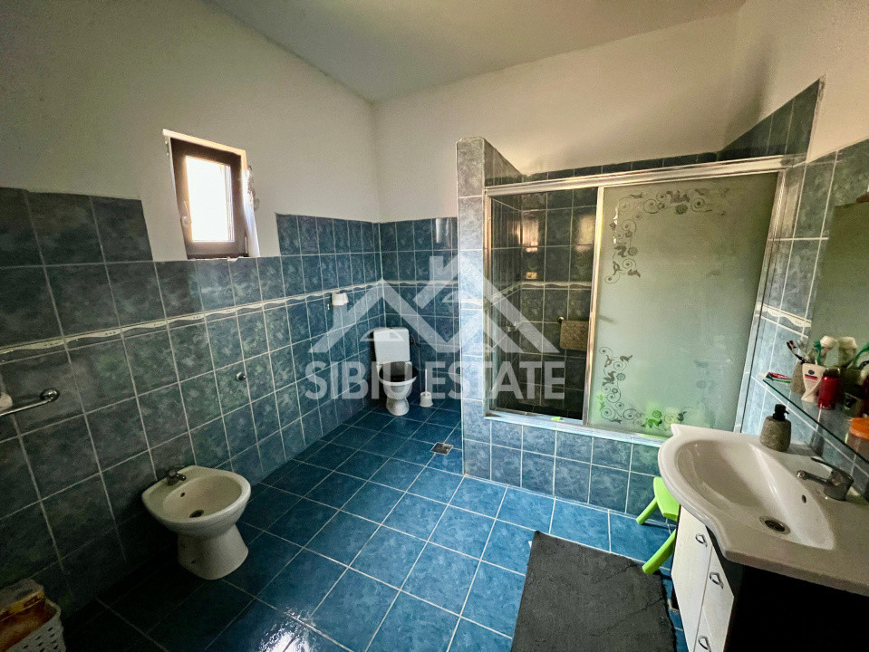 Casa moderna, spațioasa, curte generoasa pe un nivel în Sura Mare