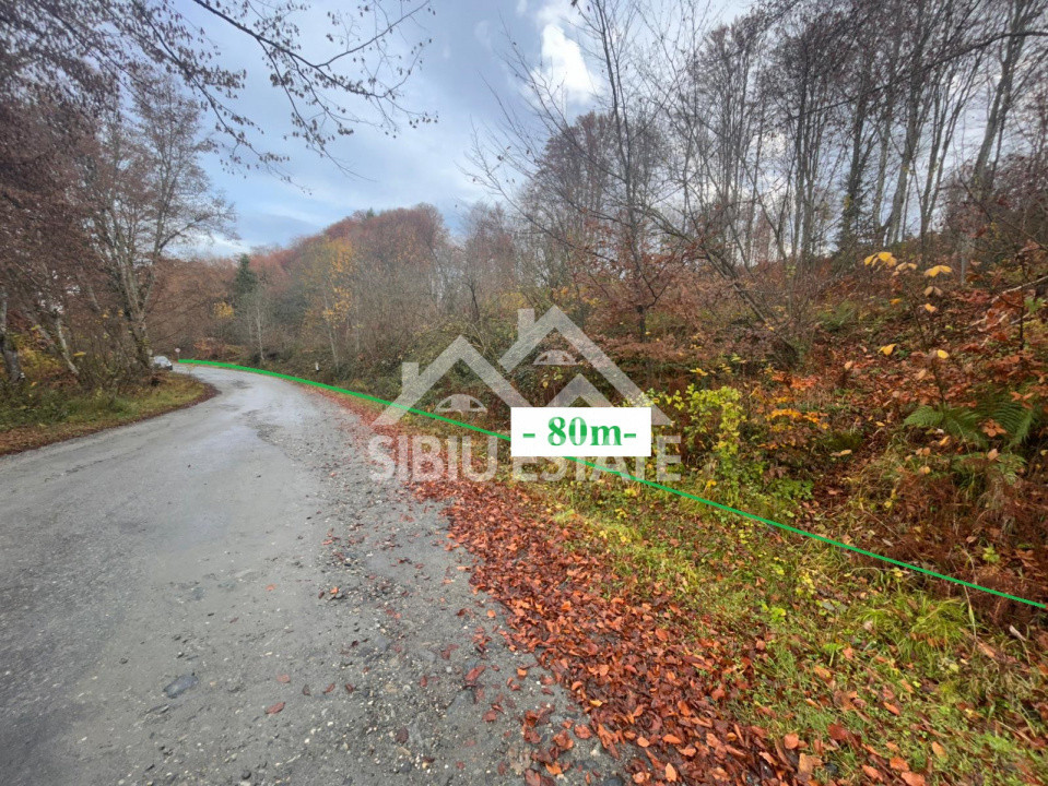 Oportunitate de investiție – Teren pentru hotel / pensiune pe Valea Avrigului