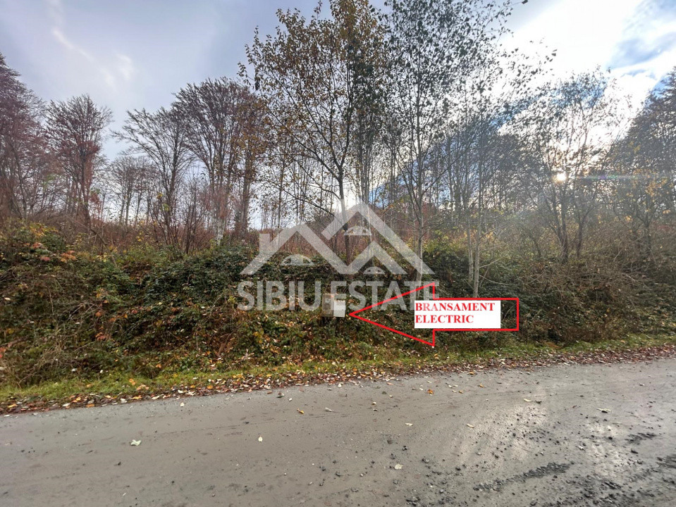 Oportunitate de investiție – Teren pentru hotel / pensiune pe Valea Avrigului