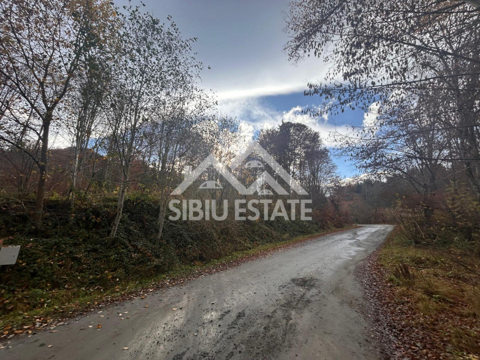 Oportunitate de investiție – Teren pentru hotel / pensiune pe Valea Avrigului