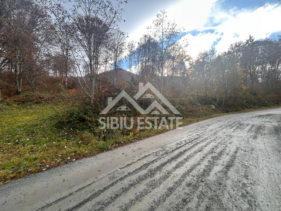 Oportunitate de investiție – Teren pentru hotel / pensiune pe Valea Avrigului