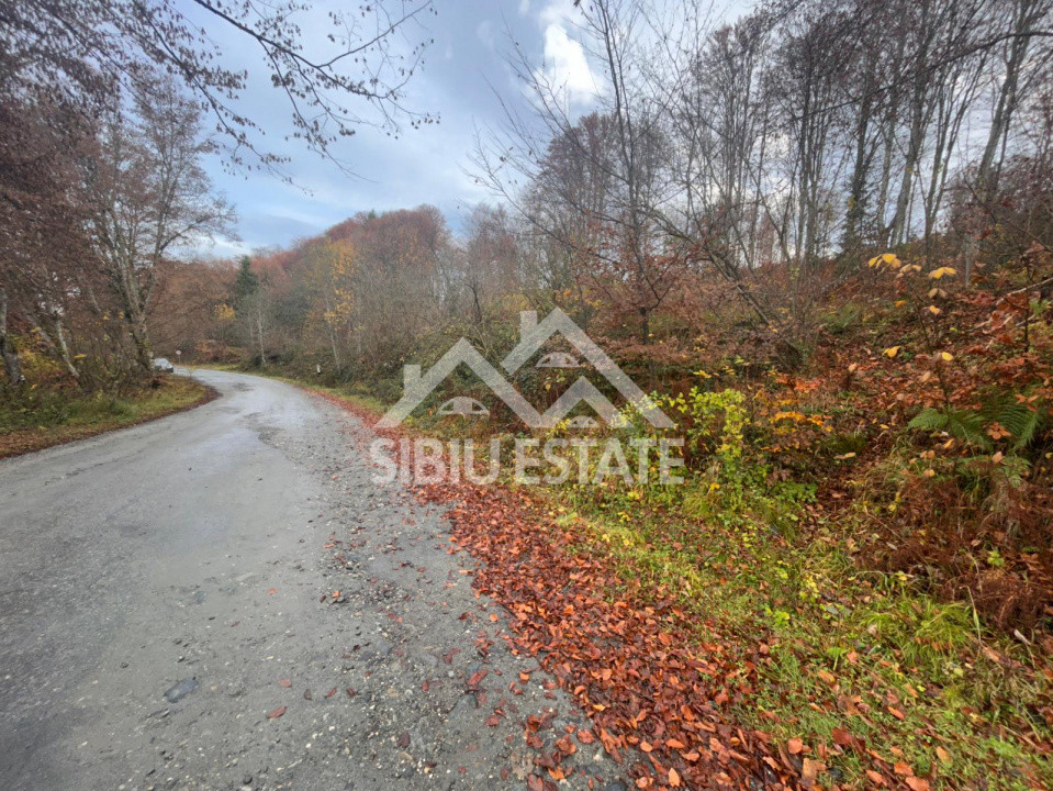 Oportunitate de investiție – Teren pentru hotel / pensiune pe Valea Avrigului