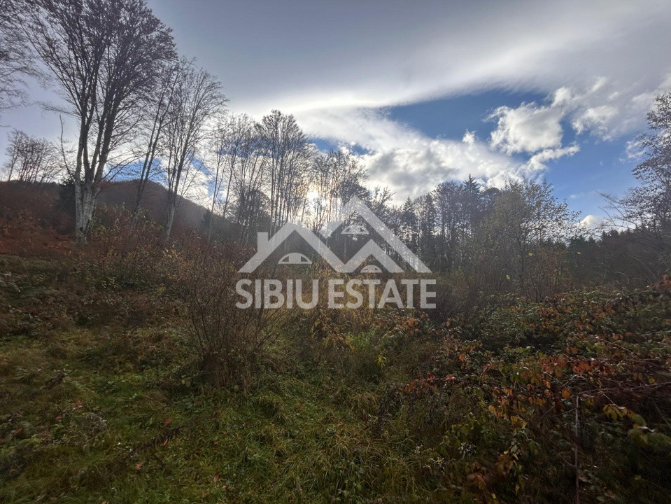 Oportunitate de investiție – Teren pentru hotel / pensiune pe Valea Avrigului