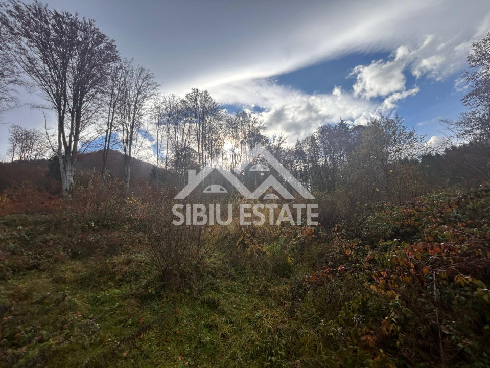 Oportunitate de investiție – Teren pentru hotel / pensiune pe Valea Avrigului