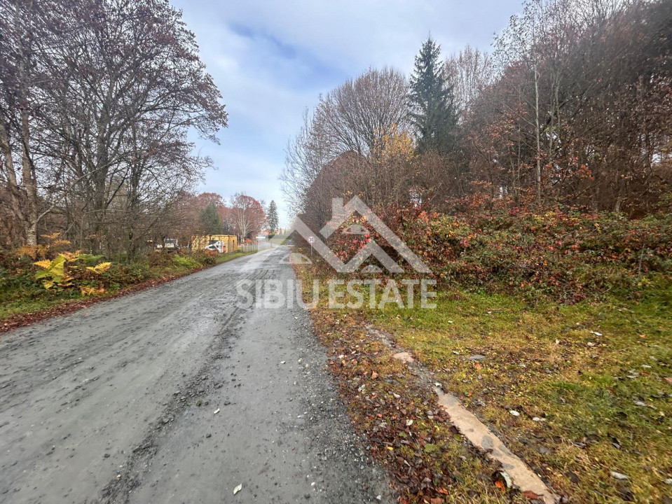 Oportunitate de investiție – Teren pentru hotel / pensiune pe Valea Avrigului