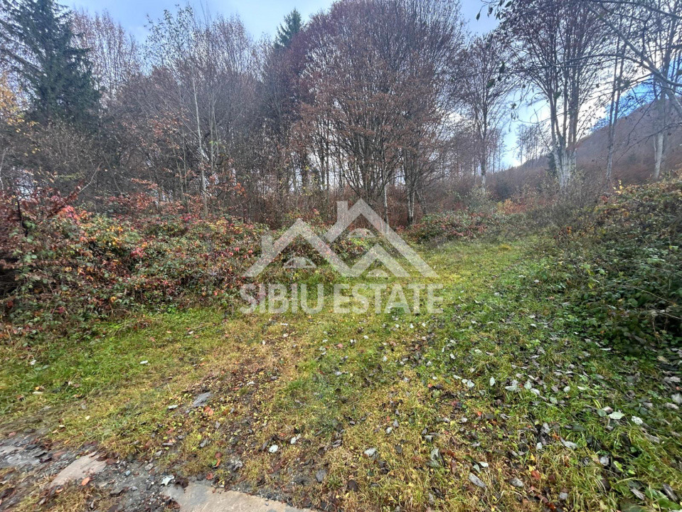 Oportunitate de investiție – Teren pentru hotel / pensiune pe Valea Avrigului