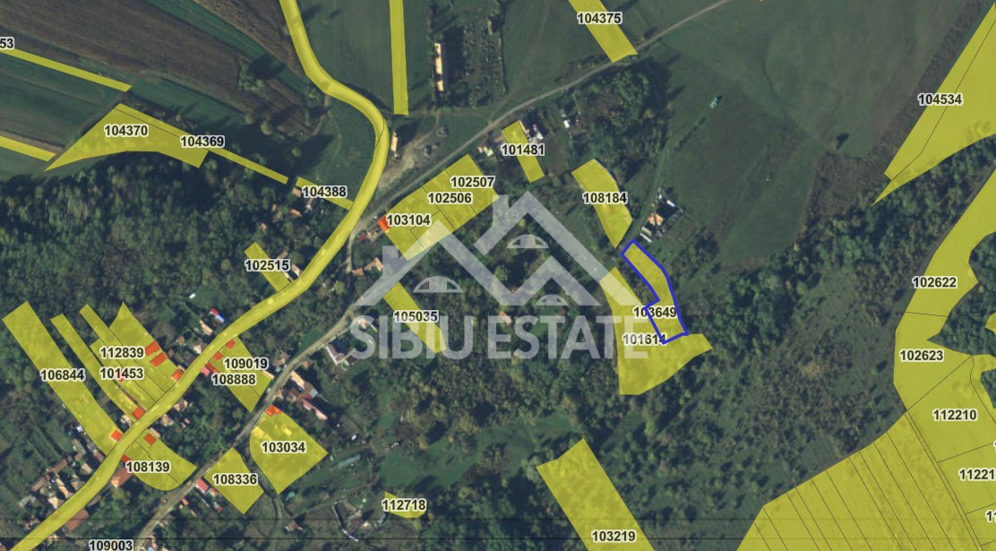 Teren constructii casa/cabana 2000 mp Valea Hrtibaciului Nucet 